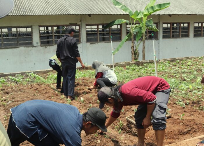 Laporan Kegiatan Sekolah Lapang 6