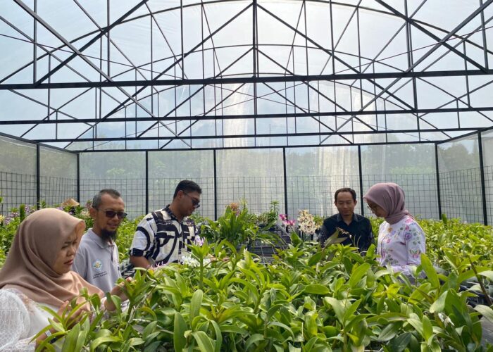 WhatsApp Image 2025-11-26 at 08.19.24 (1)