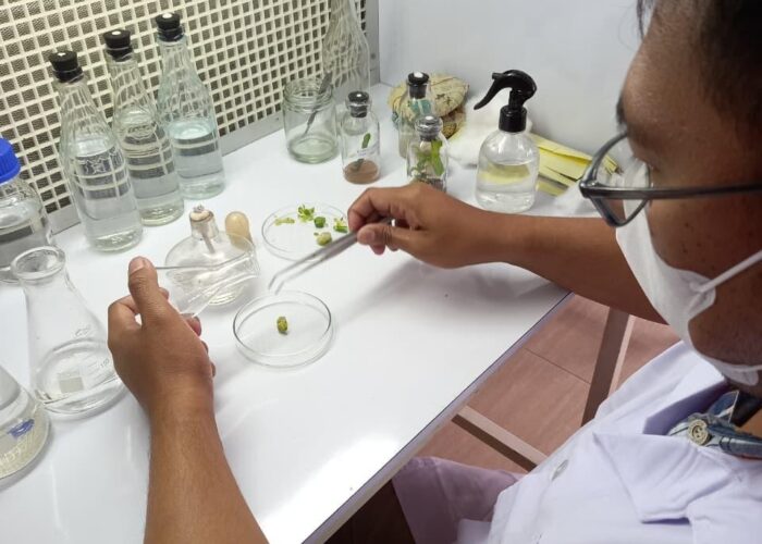 WhatsApp Image 2025-11-26 at 08.19.25 (1)