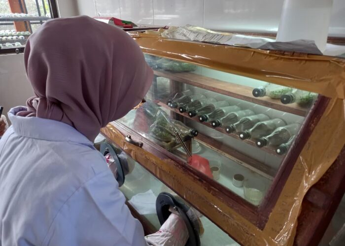 WhatsApp Image 2025-11-26 at 08.19.25